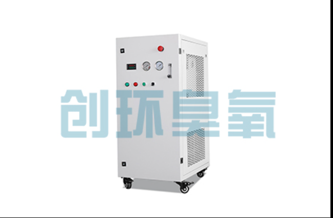 阳江工厂化养鲈必看:2026年臭氧发生器替代传统消毒的最新方案