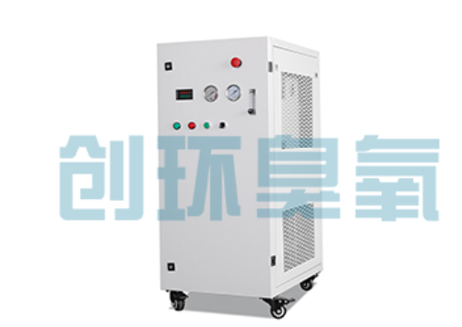 阳江石斑鱼养殖水质调控完整指南：臭氧发生器配置与操作步骤