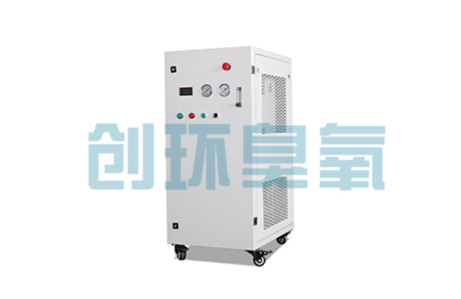 阳江比传统换水更高效？臭氧发生器在石斑鱼养殖中的水质净化原理解析